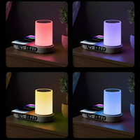 Multi-Function Station Diffuser