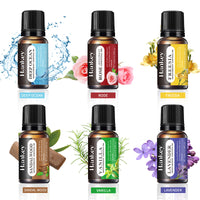 Essential Oil Set